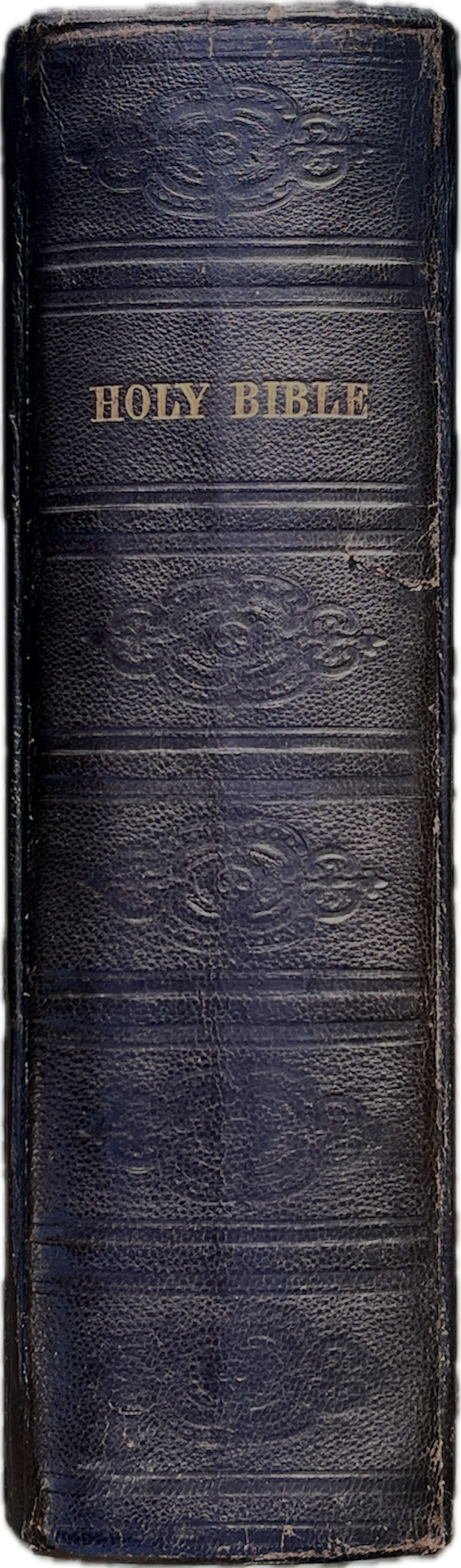 The Rigden Bible Spine